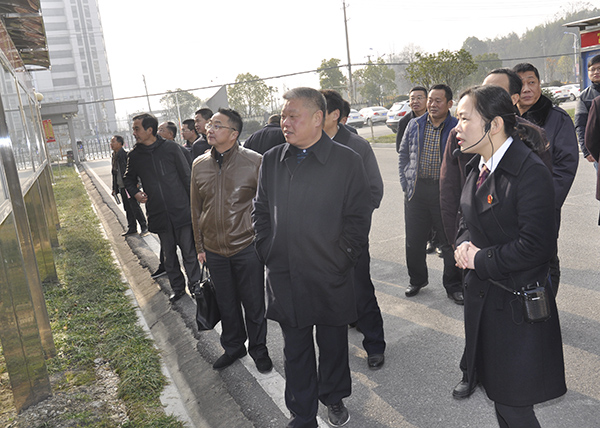 委员们参观法院文化长廊.JPG